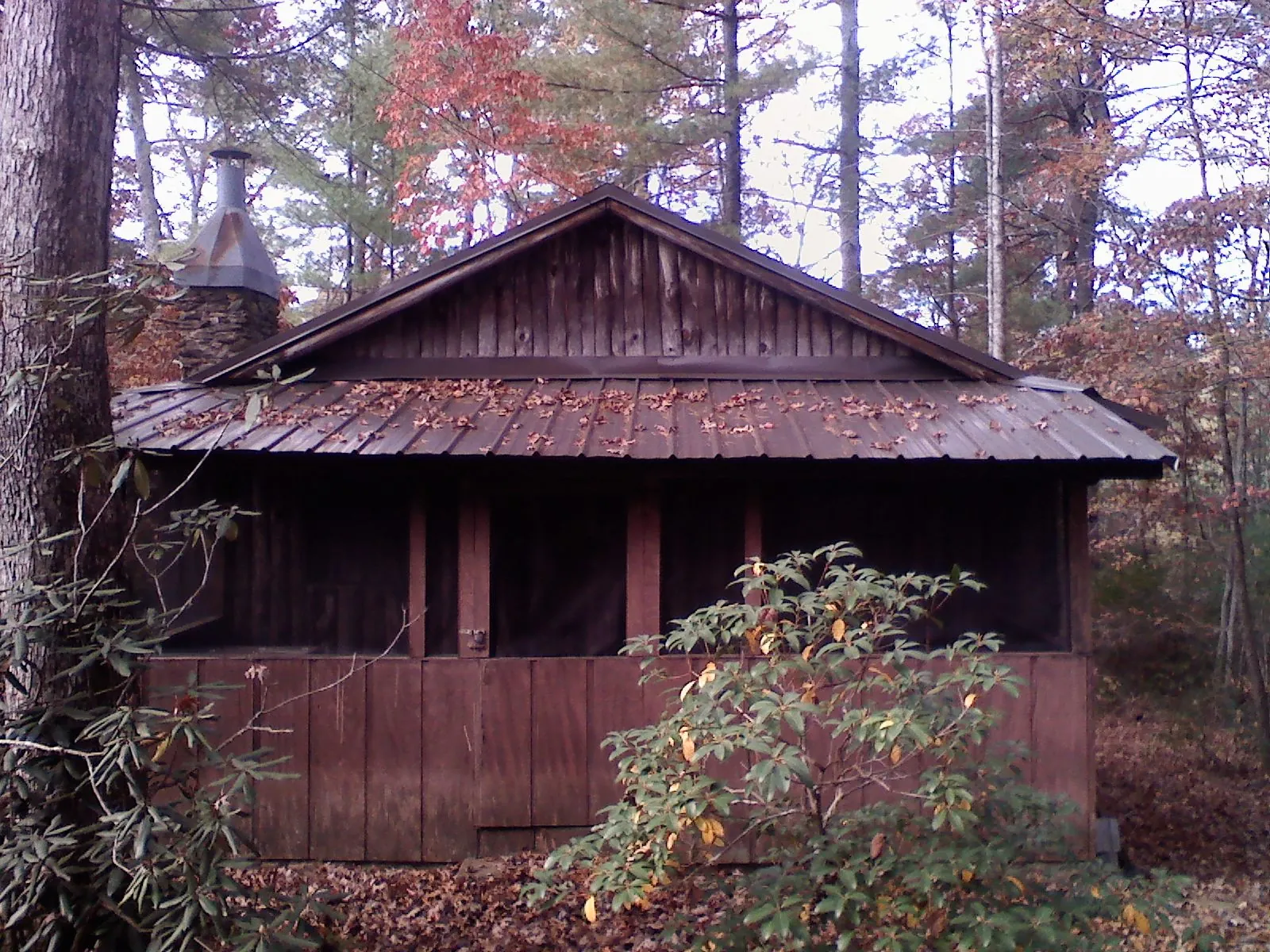 Metal roof over the screened porch of a rustic cabin in Victor