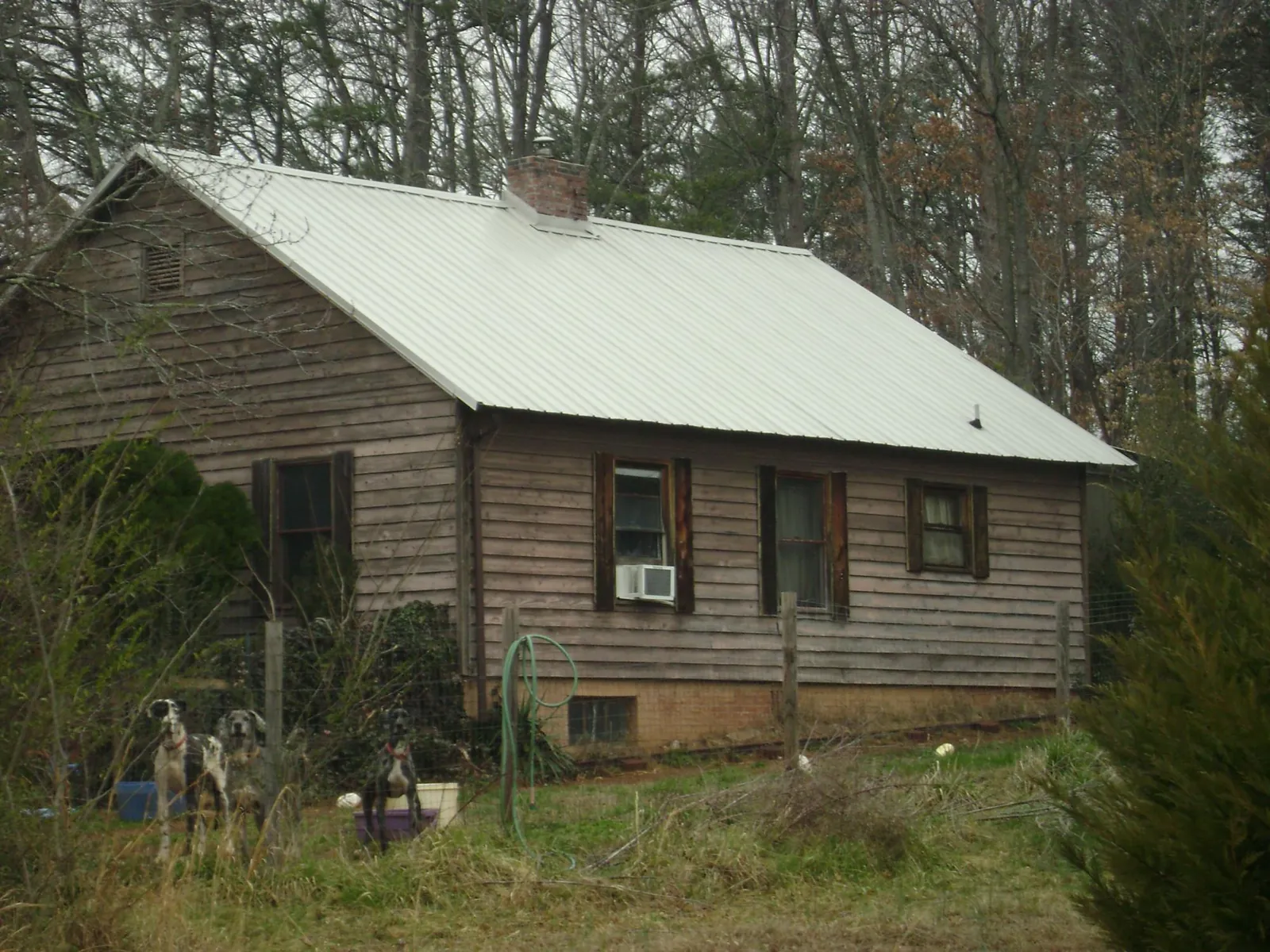 White metal roof on an old wood sided farmhouse, from a Asphalt Shingle Roof Repair job in Victor